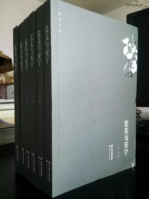 15.詩集《荒蕪與安寧》.jpg